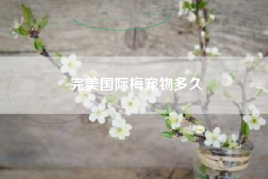 完美国际梅宠物多久