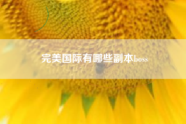 完美国际有哪些副本boss