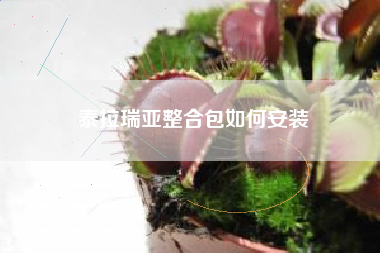 泰拉瑞亚整合包如何安装