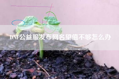 DNF公益服发布网名望值不够怎么办