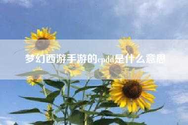 梦幻西游手游的cpdd是什么意思