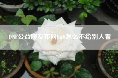 DNF公益服发布网buff怎么不给别人看