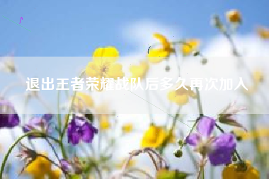 退出王者荣耀战队后多久再次加入