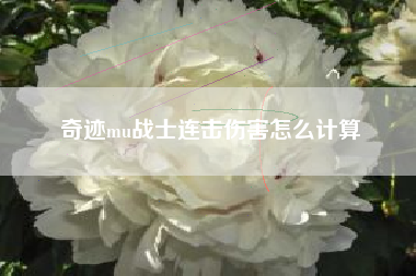 奇迹mu战士连击伤害怎么计算