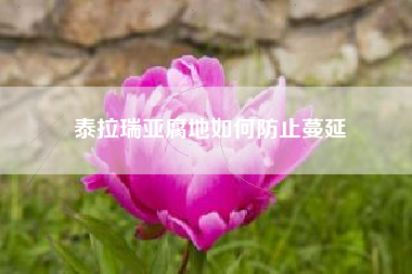 泰拉瑞亚腐地如何防止蔓延