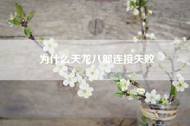为什么天龙八部连接失败