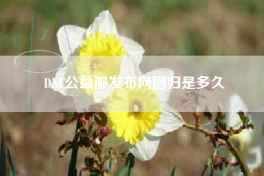 DNF公益服发布网回归是多久