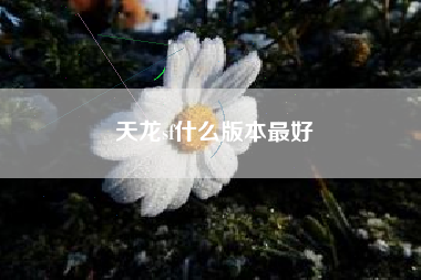 天龙sf什么版本最好