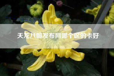 天龙八部发布网哪个区的卡好