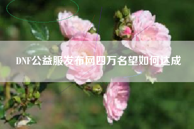 DNF公益服发布网四万名望如何达成