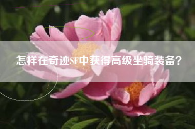 怎样在奇迹SF中获得高级坐骑装备？
