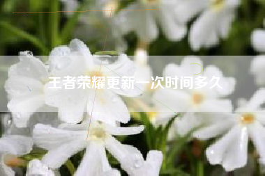 王者荣耀更新一次时间多久