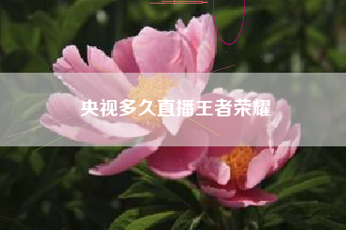 央视多久直播王者荣耀