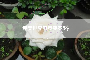 完美世界电竞要多少g