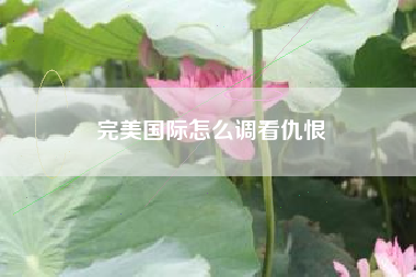 完美国际怎么调看仇恨