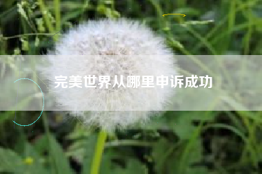 完美世界从哪里申诉成功