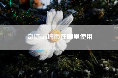 奇迹mu瑞币在哪里使用