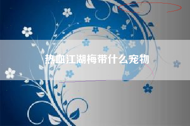 热血江湖梅带什么宠物