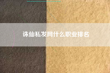 诛仙私发网什么职业排名