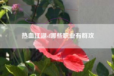 热血江湖sf哪些职业有群攻