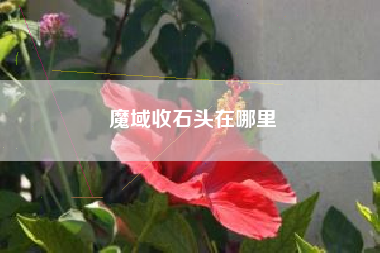 魔域收石头在哪里