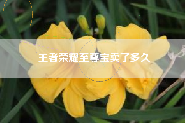 王者荣耀至尊宝卖了多久