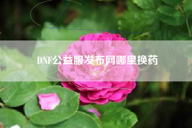 DNF公益服发布网哪里换药
