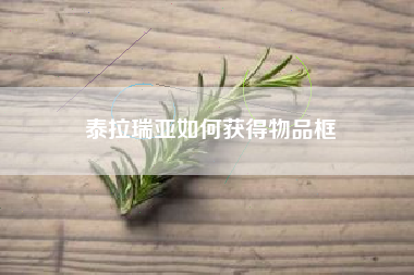 泰拉瑞亚如何获得物品框