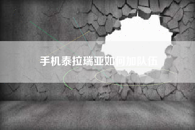 手机泰拉瑞亚如何加队伍