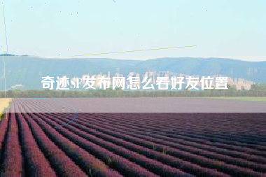 奇迹SF发布网怎么看好友位置