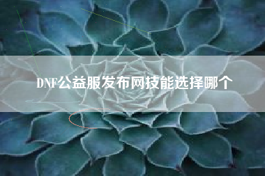 DNF公益服发布网技能选择哪个
