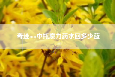 奇迹mu中瓶魔力药水回多少蓝