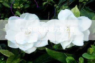 mu黎明奇迹战力怎么看