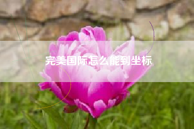 完美国际怎么能到坐标