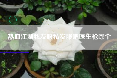 热血江湖私发服私发服吧医生枪哪个