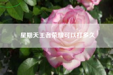 星期天王者荣耀可以打多久