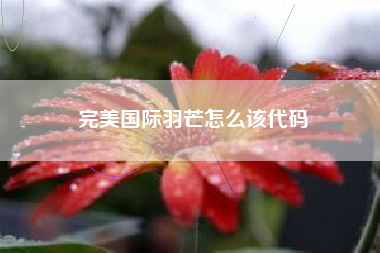 完美国际羽芒怎么该代码