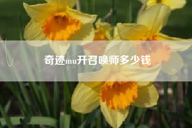 奇迹mu开召唤师多少钱