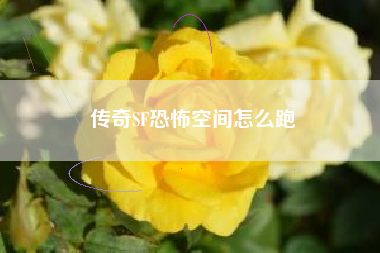 传奇SF恐怖空间怎么跑