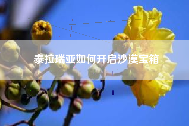 泰拉瑞亚如何开启沙漠宝箱