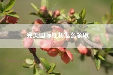 完美国际红利怎么领取