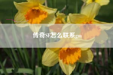 传奇SF怎么联系gm