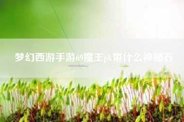 梦幻西游手游69魔王pk带什么神秘石
