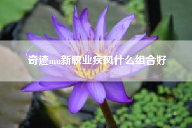 奇迹mu新职业疾风什么组合好