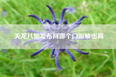 天龙八部发布网哪个门派输出高