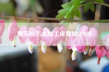 魔芋粉怎么加工成魔域SFSF冻