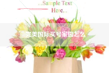 完美国际买号家园怎么