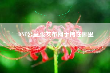 DNF公益服发布网手铐在哪里
