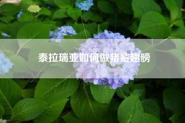 泰拉瑞亚如何做猪鲨翅膀