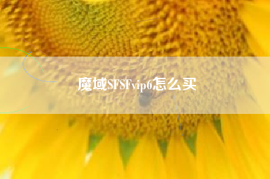 魔域SFSFvip6怎么买